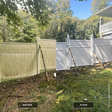 Mold Be Gone: The Great Fence Resurrection in Middleton, NY
